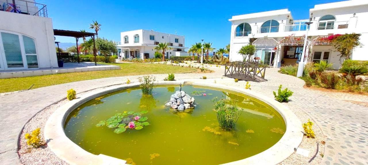 Aphrodite Apartments North Cyprus Gaziveren Dış mekan fotoğraf